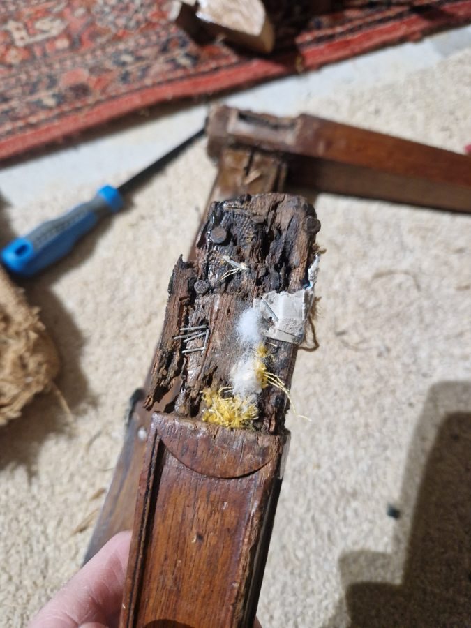 Rotted leg top full of old nails and staples
